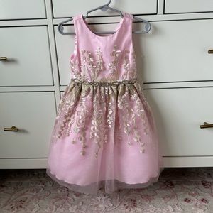 American Princess Pink Formal Dress